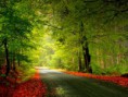 /album/nature/naturaleza-jpg/